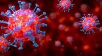 Global coronavirus death toll tops 6,83,000