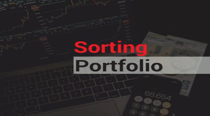 The thing to consider of share Business for Sorting Portfolio