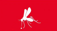 Dengue: 7 hospitalised in 24 hours