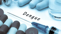 Dengue: 14 hospitalised in 24 hours