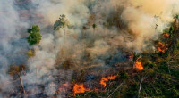 Record number of forest fires in Brazil Amazon
