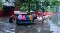 Monsoon floods in India’s Gujarat kill at least 28 people
