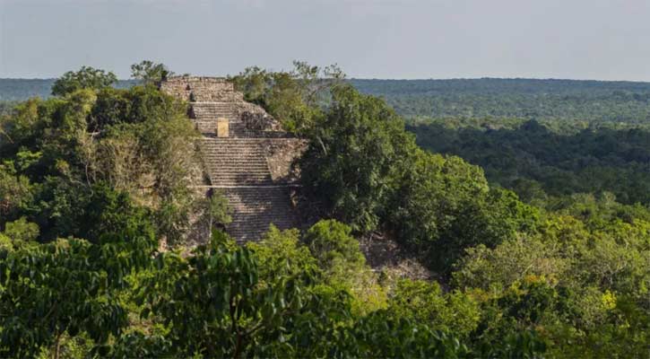 Researcher finds lost city in Mexico jungle by accident