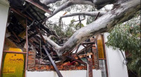 120,000 properties still blacked out after Cyclone Alfred