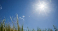 Dry conditions likely, mild heatwave continues