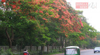 Dhaka’s air quality ‘tolerable’ today, ranks 16th in world pollution