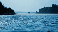 Rain, thundershowers likely across Bangladesh