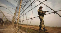 Bangladeshi youth shot dead by BSF at Thakurgaon border