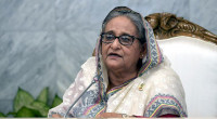 Sheikh Hasina, 441 others sued for killing July protester