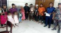 BSF pushes 16 including Rohingyas into Bangladesh