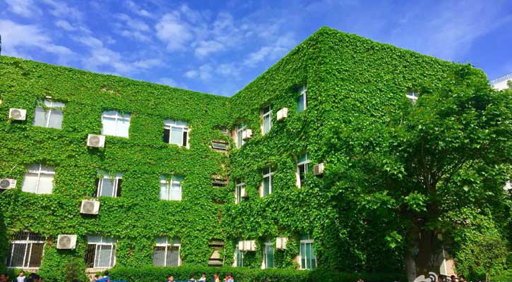 সবুজ স্কুল