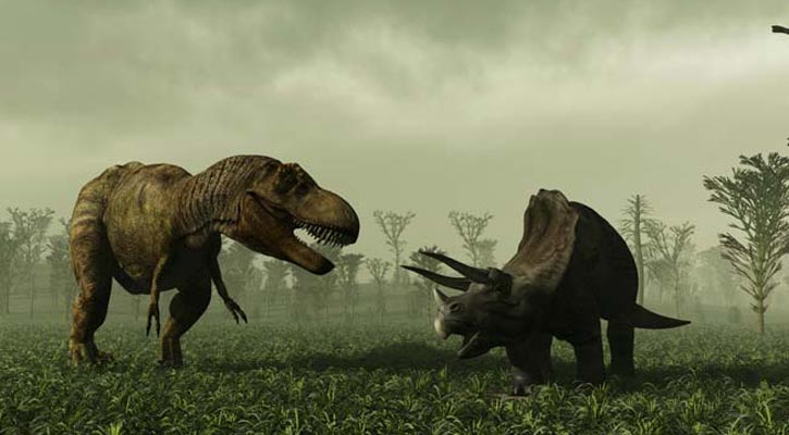 ২৩ কোটি বছর আগের ডাইনোসরের পায়ের ছাপ!