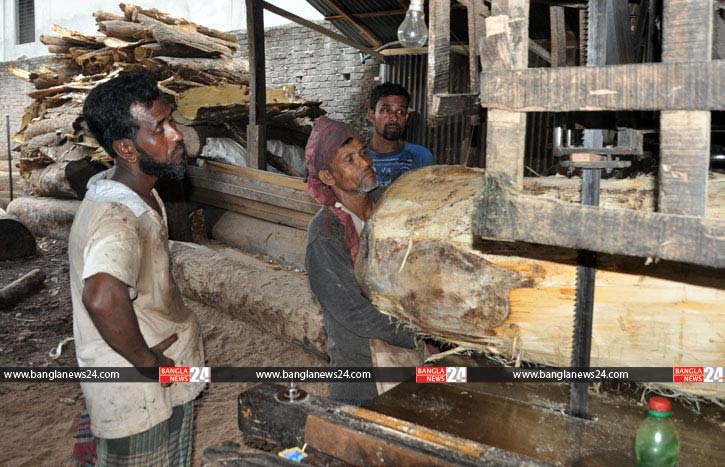 করাত কলে কাটছে জীবন