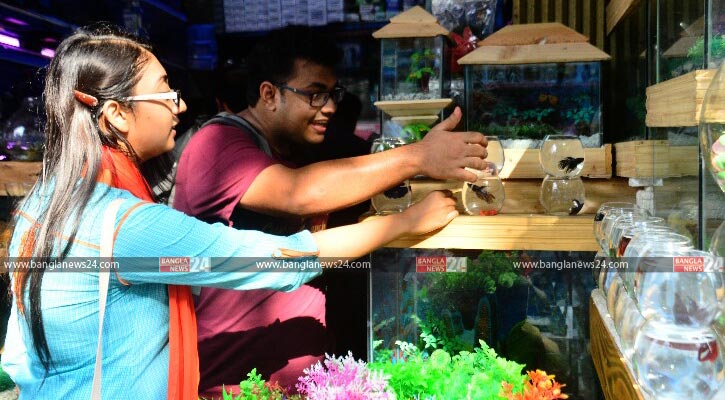 মাছ নিয়ে খেলা!