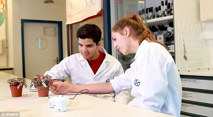 ডিভাইসে বোঝা যাবে গাছের কথা!