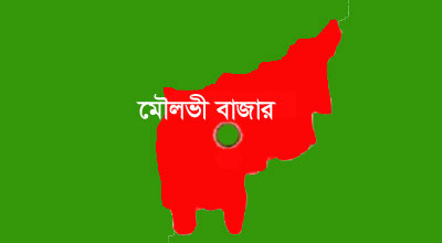বড়লেখায় তুচ্ছ ঘটনায় যুবলীগ নেতা খুন