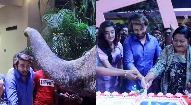 শাকিবকে জন্মদিনের শুভেচ্ছা জানাতে আনা হলো হাতি