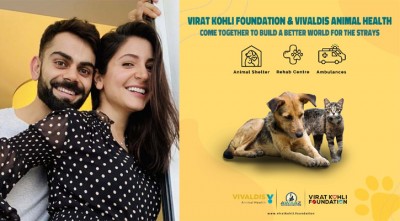 পথপ্রাণীদের সেবাকেন্দ্র খুলছেন বিরাট কোহলি ও আনুশকা