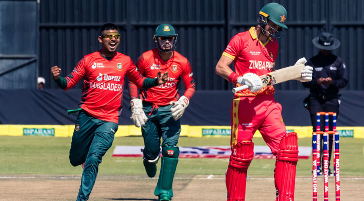 একাই পাঁচ শিকার মোসাদ্দেকের, কাঁপছে জিম্বাবুয়ে