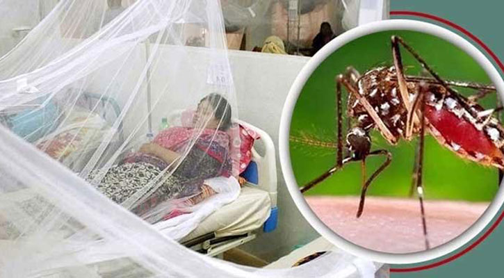 ডেঙ্গুতে ১৫ জনের মৃত্যু, হাসপাতালে ভর্তি ২১৫৮