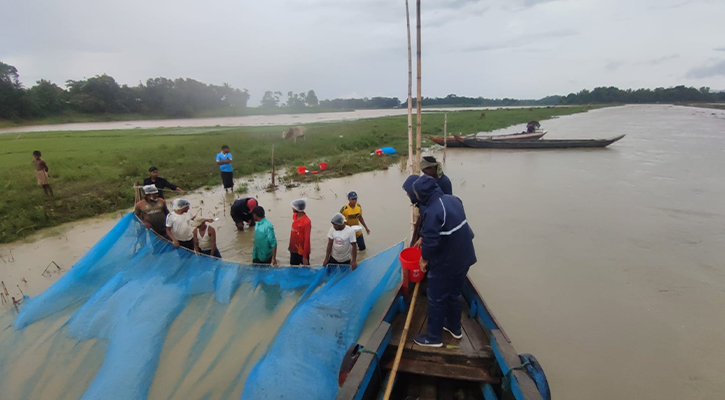 কাপ্তাই লেকে কার্পজাতীয় মাছের নতুন প্রজননক্ষেত্র চিহ্নিত