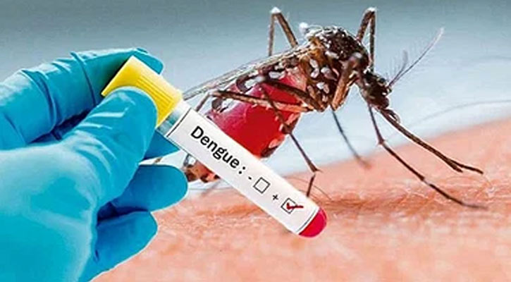 ডেঙ্গুতে মৃত্যু নেই, হাসপাতালে ভর্তি আরও ৮৬