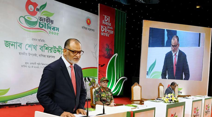 চা রপ্তানি বাড়াতে কাজ করছে সরকার: বাণিজ্য উপদেষ্টা 