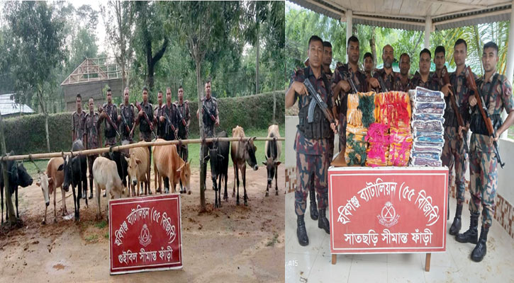 সীমান্তে গরুসহ ৪৪ লাখ টাকার চোরাচালান জব্দ