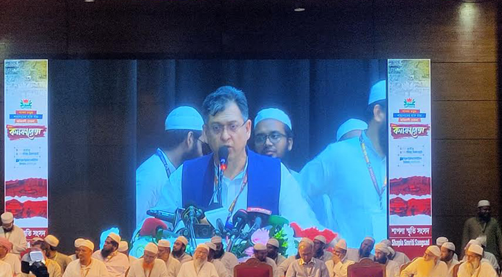 প্রধান উপদেষ্টার পদত্যাগ চাইনি, রোডম্যাপ চেয়েছিলাম: সালাহউদ্দিন আহমেদ