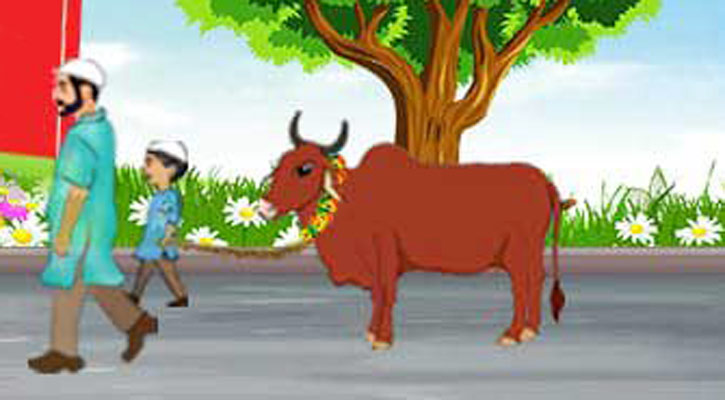 কোরবানি কাদের ওপর ওয়াজিব?
