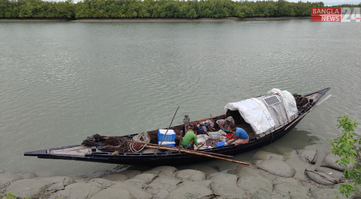 জীবন-জীবিকা নিয়ে দুশ্চিন্তায় বনজীবীরা