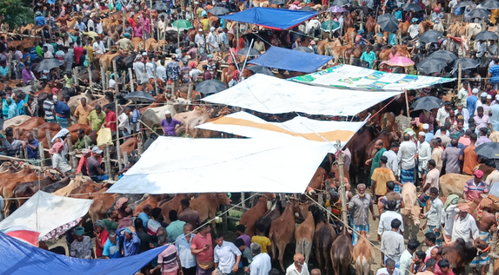 ঈদযাত্রা-পশুর হাট ঘিরে ডিএমপির একগুচ্ছ ট্রাফিক নির্দেশনা