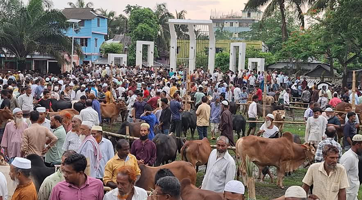 বরগুনায় শহীদ মিনার প্রাঙ্গণে গরুর হাট