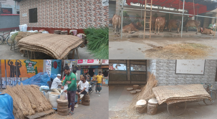 রাজধানীর অলিগলিতে কোরবানির পশুখাদ্য-সরঞ্জামের পসরা