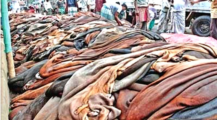 চামড়া কিনতে তৈরি পোস্তা, সংরক্ষণে শঙ্কা