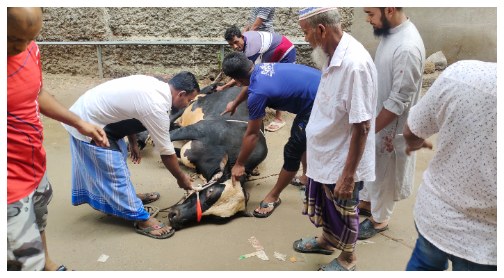 রাজধানীর পথে পথে চলছে পশু কোরবানি 