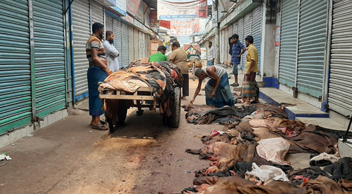 বরিশালের চামড়া সংগ্রহ শুরু, ভালো দাম পাচ্ছেন সংগ্রহকারীরা
