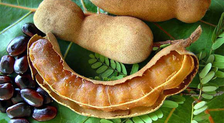 তেঁতুলের নাম শুনলেই জিভে জল আসে?