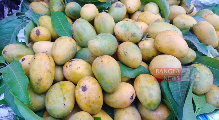 ছুটির দিনে মৌসুমি ফলের মেলায় ভিড় 