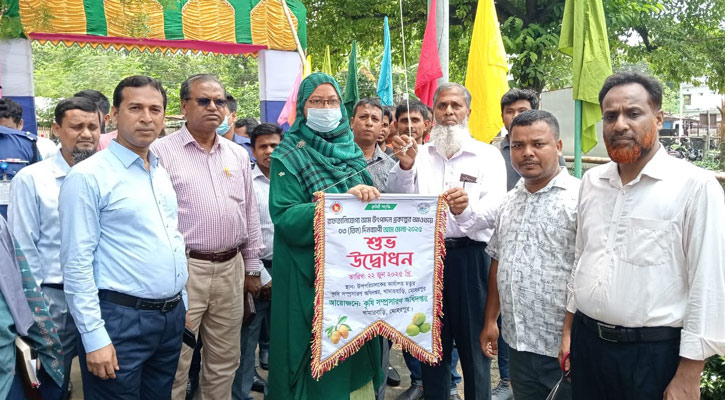 মেহেরপুরে ৩ দিনের আমমেলা