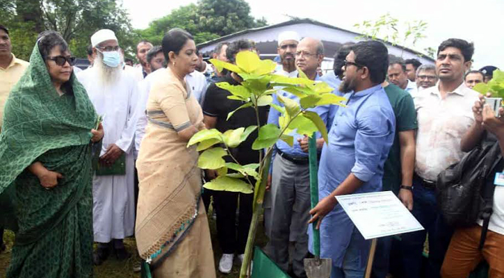 জিরো সয়েল কর্মসূচি বাস্তবায়নে সবার সহযোগিতা জরুরি: পরিবেশ উপদেষ্টা