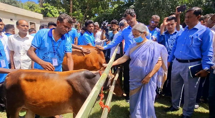 গুঁড়া দুধ আমদানির টাকা দিয়ে আমরা চিলিং সেন্টার করতে পারি: প্রাণিসম্পদ উপদেষ্টা 