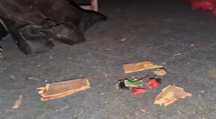 ফের এনসিপি কার্যালয়ের সামনে ককটেল বিস্ফোরণ