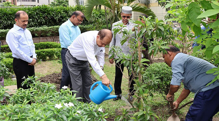 কাজী হাবিবুল আউয়ালের রোপণ করা গাছের নেমপ্লেট খুলে নিল ইসি