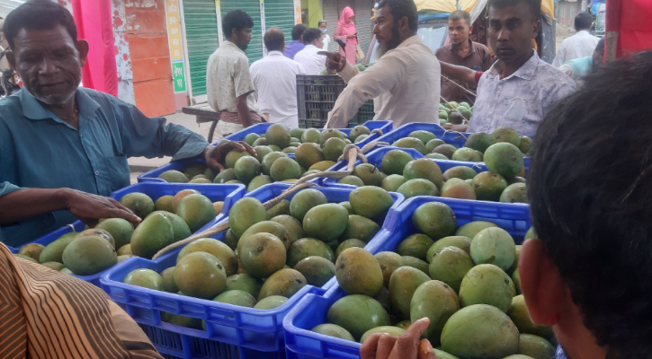 আমের বাজারে কেনাবেচা জমজমাট, দাম কম