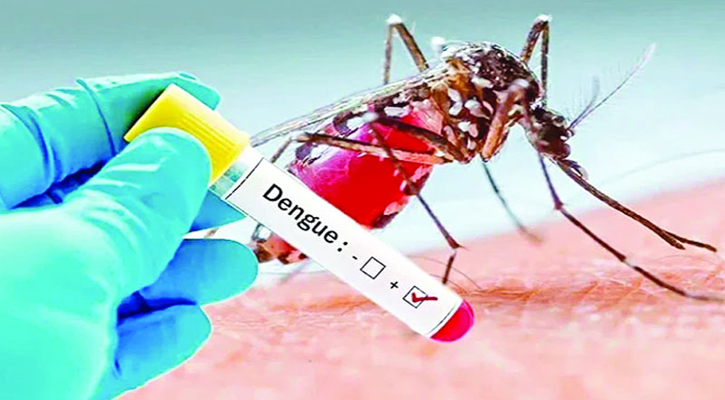 সারাদেশে আরও ২৯৪ জন ডেঙ্গু আক্রান্ত  