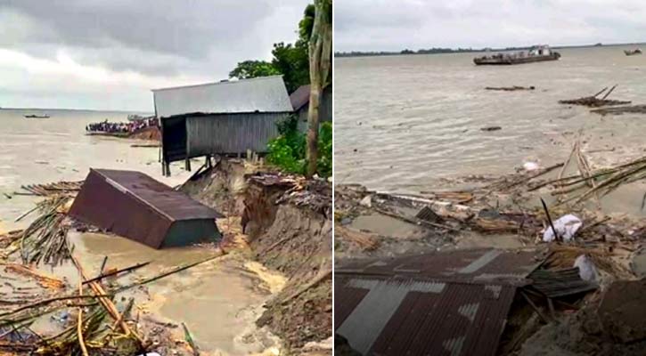 জাজিরায় ফের পদ্মার ভাঙন: দোকান-ঘরবাড়ি নদীতে বিলীন, আতঙ্কে স্থানীয়রা