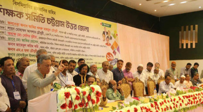 ফেব্রুয়ারির প্রথমার্ধে নির্বাচন ছাড়া কোনো পথ নেই: আমীর খসরু