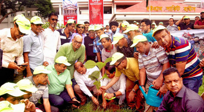 চট্টগ্রামে বিএনপির বৃক্ষরোপণ কর্মসূচির উদ্বোধন