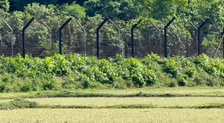 ফেনী সীমান্তে বিএসএফের গুলি, হত্যার শিকার আরও এক বাংলাদেশি